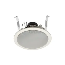 Loa Âm Trần Móc Treo TOA PC-2852