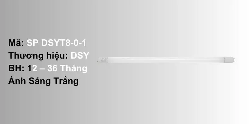 Đèn Led Tuýp T8 0.6m 12W DSY Chính Hãng Giá Tốt Nhất 2026 4 Tổng Quan Bộ đèn led tuýp T8 0.6m 12W DSY